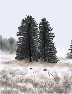 Wedded Pines av Evan Sklar