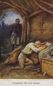 David Livingstone av Evelyn Stuart Hardy