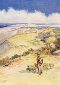  av Evelyn Stuart Hardy