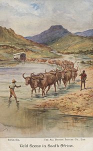 Bönder som kör boskap, Sydafrika (färg litho)