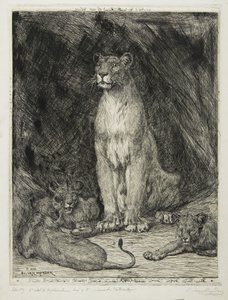 Sittande lejoninna och tre ungar, 1888 av Evert van Muyden
