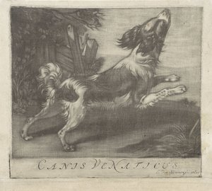 Hoppande hund Canis Venaticus (titel på objekt) av Evert van Sweinen
