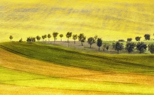  av Ewa Całkosińska-Kajzer