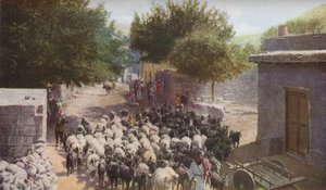 Palestina, ca 1930-talet