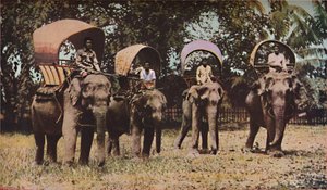 Siam, c1930-talet av Ewing Galloway