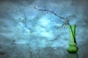 Stilla blå blommor av Eyal Amer
