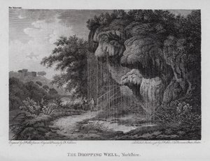 The Dropping Well, Yorkshire (gravyr) av F. (after) Nicholson