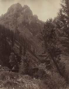 Utan titel, c. 1884.