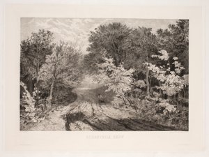 Borrevejleskogen av F. Larsen