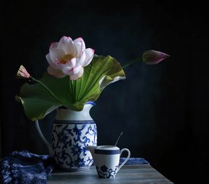 Rofullt lotusarrangemang av Fangping Zhou