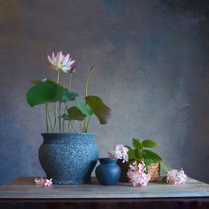 Stilleben med fridfull lotus