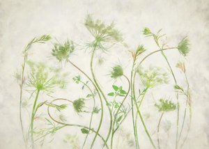 Mjuka gröna botaniska motiv av Fangping Zhou