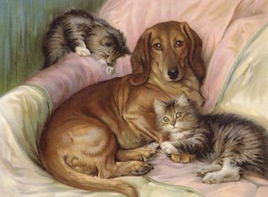 Lekkamrater - hund och två katter, sitter på en soffa (färg litho)