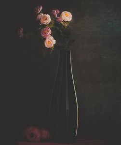  av Farid Kazamil