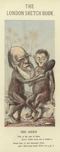 Karikatyr av Charles Darwin