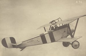 [Profil av en flygande Nieuport 17 (flygplan)] av Fedele Azari