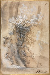 Blommande buske ovanför en eroderad bank av Federico Barocci