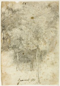 Grove av träd av Federico Barocci