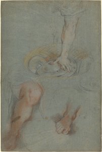 Studier för en tjänare i "Nattvarden" av Federico Barocci