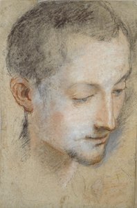 Studie av en ung mans huvud, sent 1500-tal av Federico Barocci