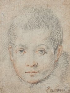 Huvud av en pojke av Federico Zuccaro