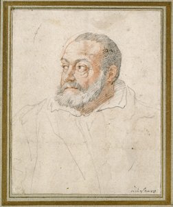 Porträtt av en man (röd krita och svart bly på papper) av Federico Zuccaro