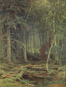 Träsket i skogen, hösten 1872