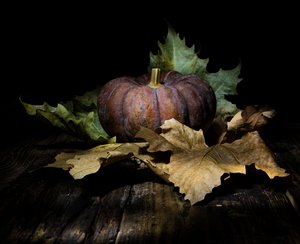 Mörk höstpumpa av Felice Angelino