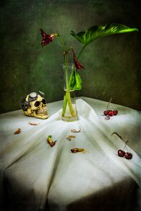 Gothic Skull Vanitas av Felice Angelino