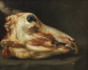 Avhudat huvud av en oxe av Felice Boselli