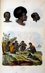 Antropologisk illustration föreställande den etiopiska rasen av Felix-Edouard Guerin