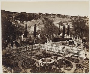 Getsemane trädgård nr 303 av Félix Bonfils