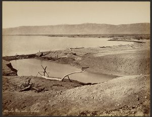 Döda havet, Palestina av Félix Bonfils