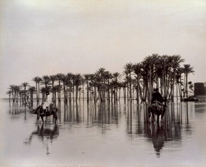 Män på kameler när de korsar ett egyptiskt ökenområde översvämmat av Nilen, Egypten av Félix Bonfils