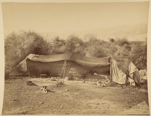Nomadiska beduiners tält, Palestina av Félix Bonfils