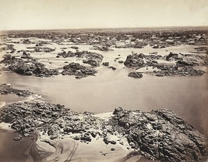 Nilens första grå starr, tagen vid Phyloe, Egypten av Félix Bonfils