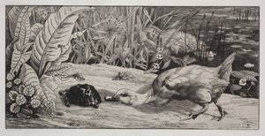 swedish av Felix Bracquemond