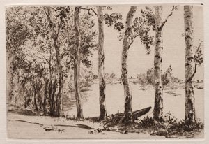 Aspar på stranden av Seine av Felix Bracquemond