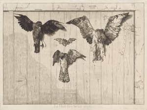 Fåglar spikade på en ladugårdsdörr av Felix Bracquemond