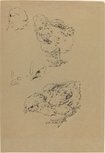 Kycklingar av Felix Bracquemond