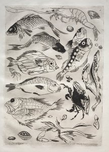 Middagsservering (Rousseau-servering): Fisk (nr 24) av Felix Bracquemond