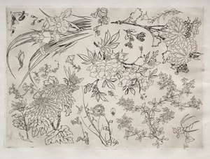 Middagsservering (Rousseau-servering): Blommor (nr 23) av Felix Bracquemond