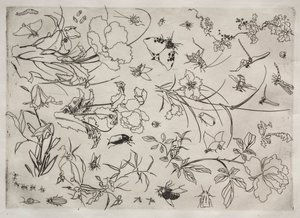 Middagsservering (Rousseau-servering): Blommor och insekter (nr 15) av Felix Bracquemond