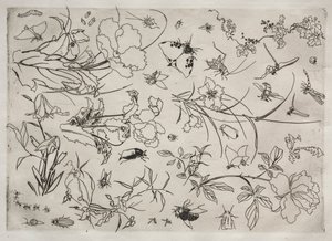Middagsservering Rousseauservice: Blommor och insekter nr. 15, 1866. av Felix Bracquemond