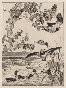 Tomvipor och krickor av Felix Bracquemond