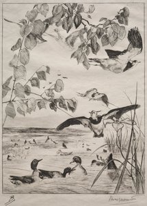 Vipor och krickor, 1862. av Felix Bracquemond