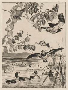 Vipor och krickor, 1862. av Felix Bracquemond