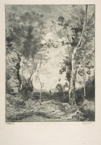 Den vita hästen, 1858. av Felix Bracquemond