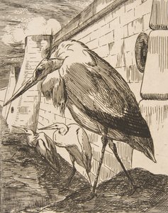 Storkarna, 1870-talet, 1870-talet. av Felix Bracquemond