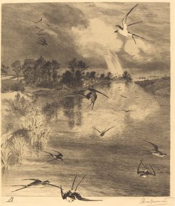 Les Hirondelles (Svalorna) av Felix Bracquemond